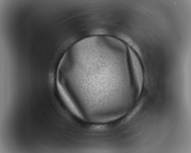 X0000094220057200711161857