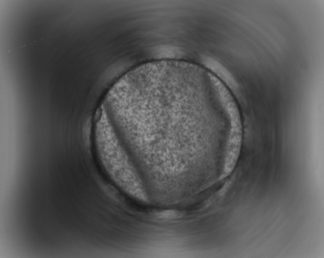 X0000094220058200711161857