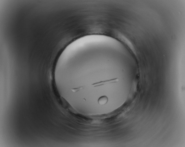 X0000094220059200711161857