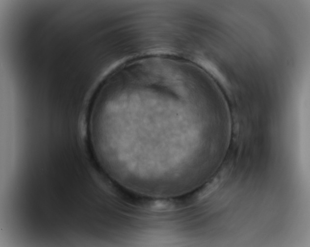 X0000094220060200711161857