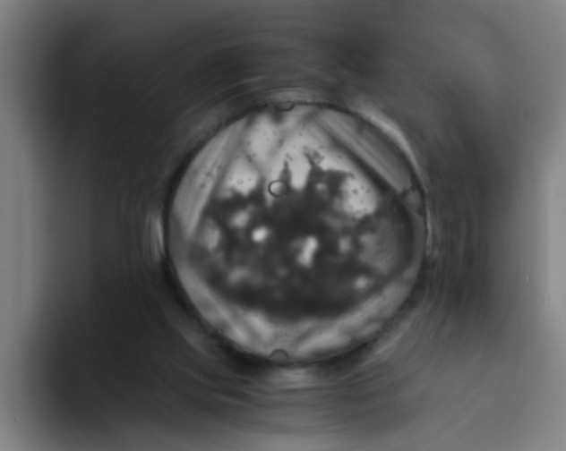 X0000094220061200711161857