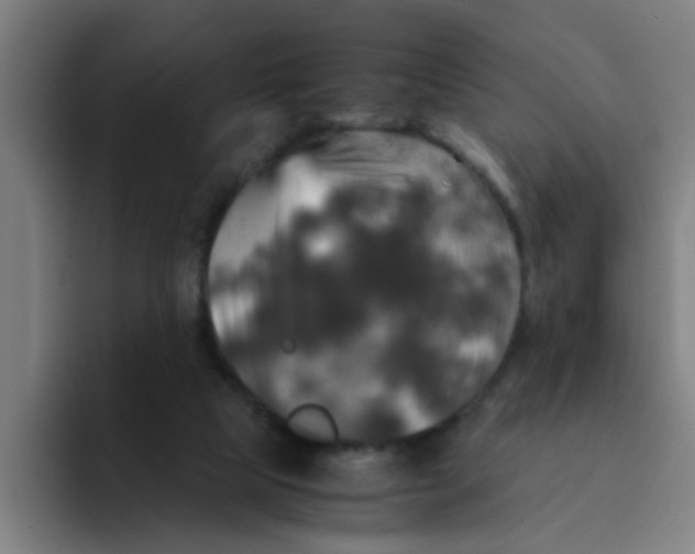 X0000094220065200711161857