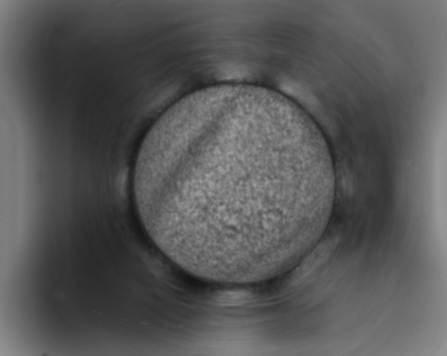 X0000094220066200711161857