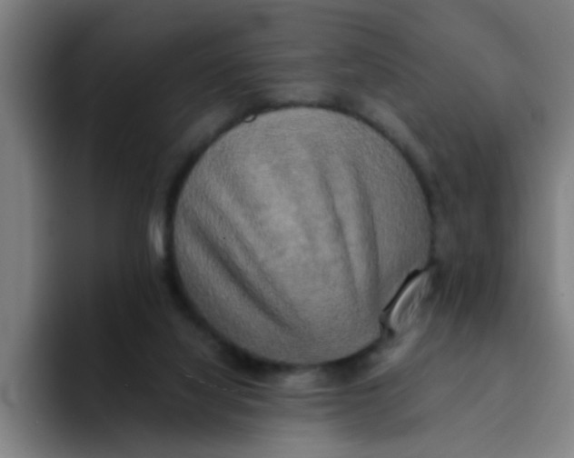 X0000094220068200711161857