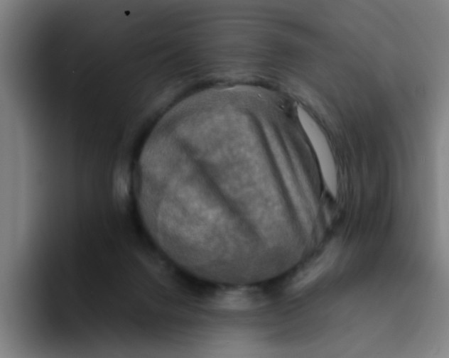 X0000094220072200711161857