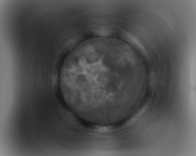 X0000094220073200711161857