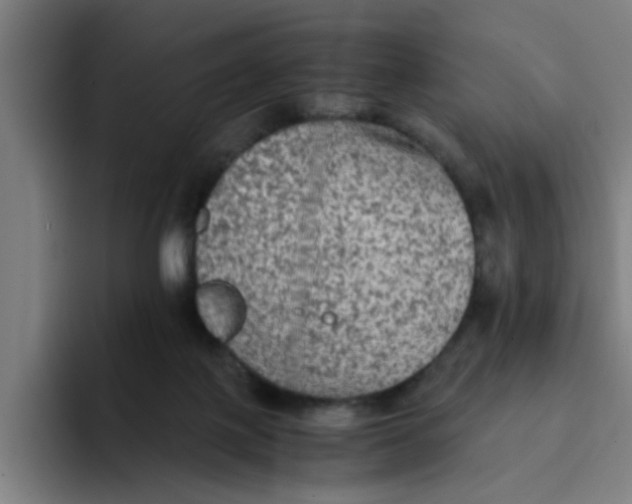 X0000094220075200711161857