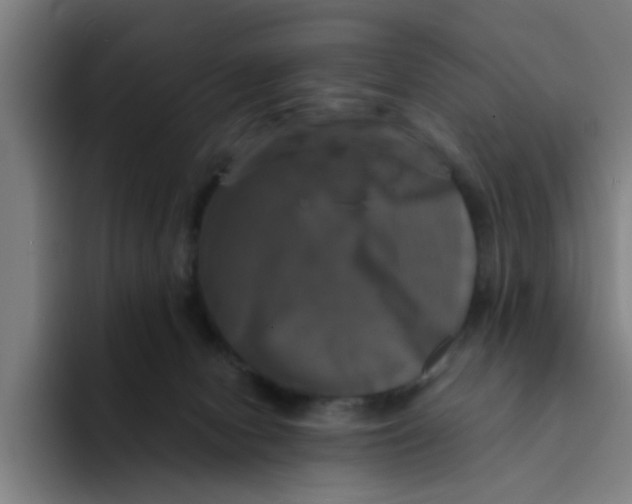 X0000094220078200711161858