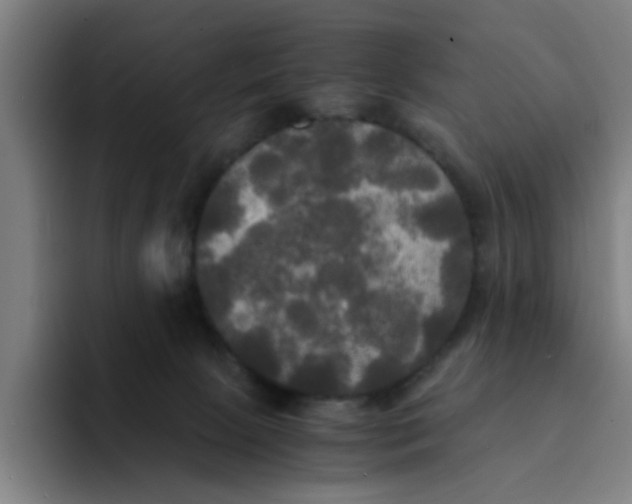 X0000094220081200711161858