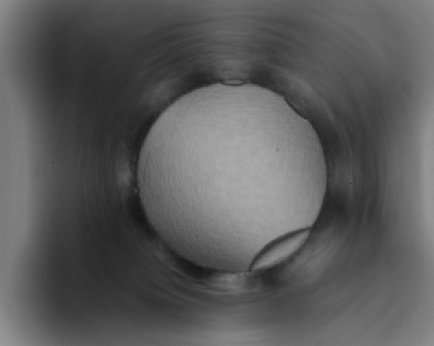 X0000094220084200711161858