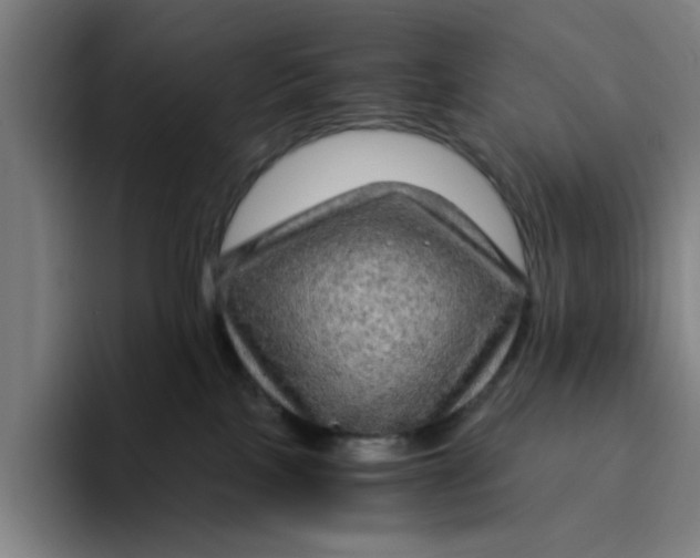 X0000094220089200711161858