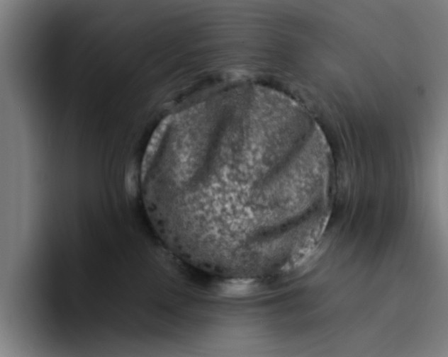 X0000094220090200711161858