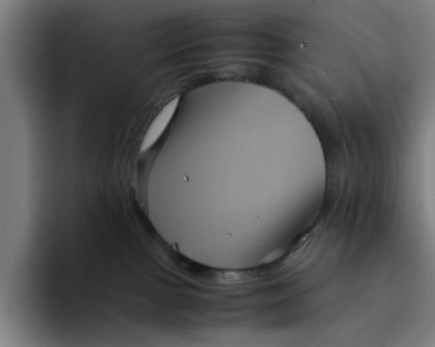 X0000094220091200711161858