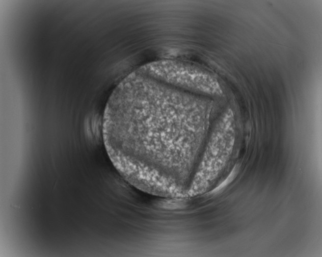 X0000094220094200711161858