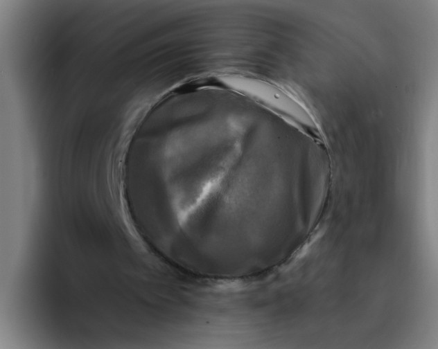 X0000094220097200711161857