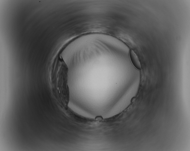 X0000094220098200711161857