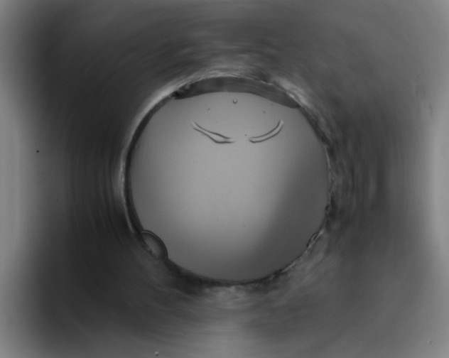 X0000094220100200711161857