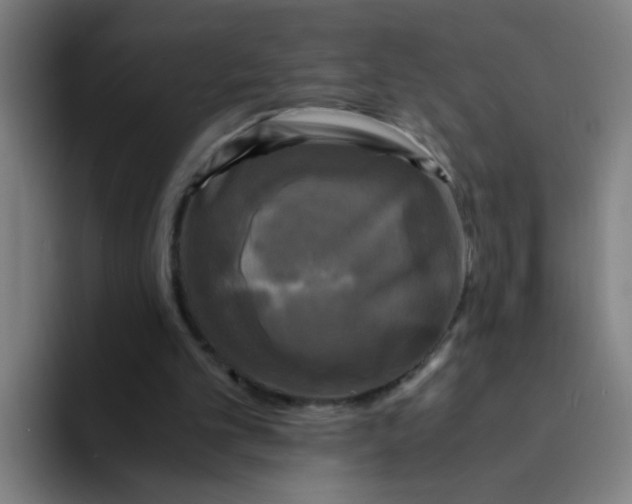 X0000094220101200711161857