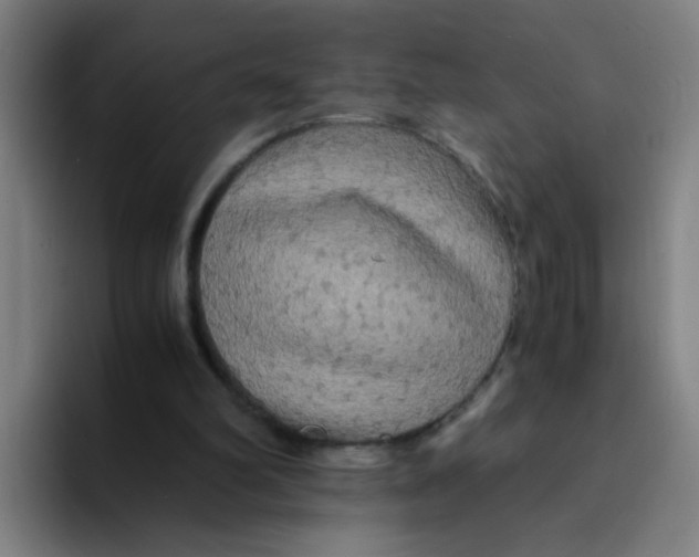 X0000094220102200711161857