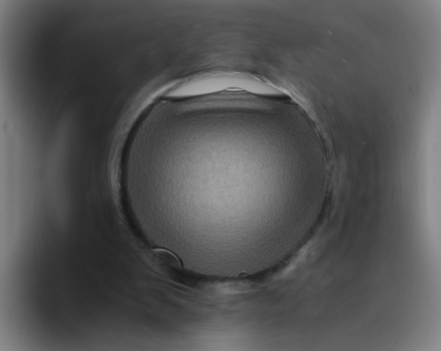 X0000094220103200711161857