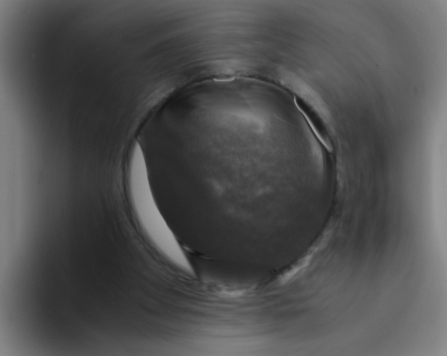 X0000094220105200711161857