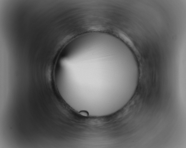 X0000094220106200711161857