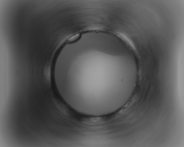 X0000094220108200711161857