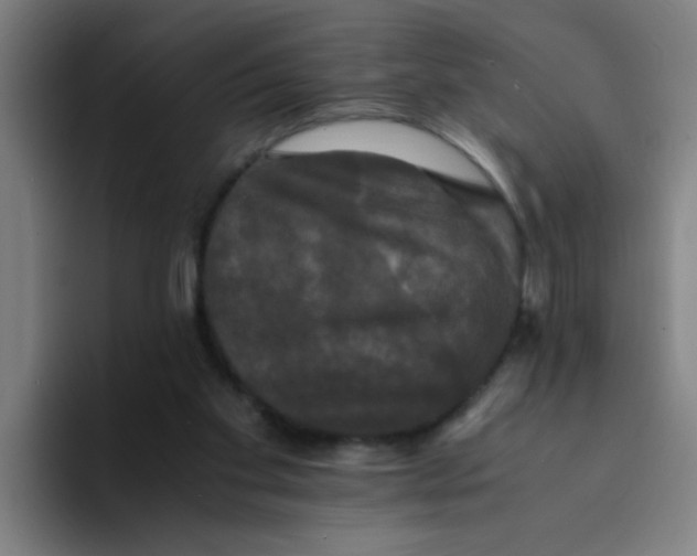 X0000094220109200711161857