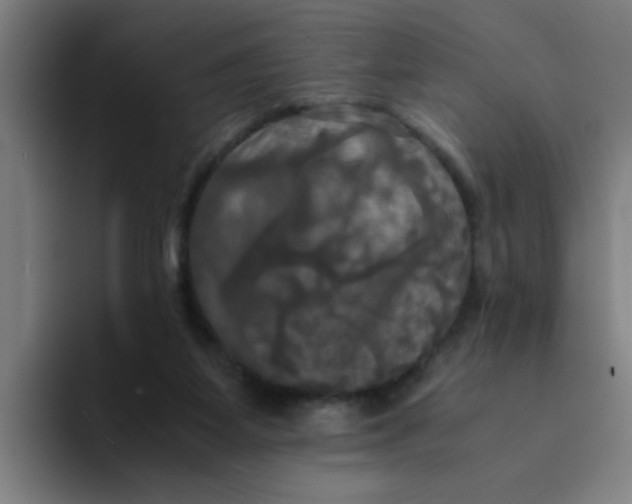 X0000094220115200711161857