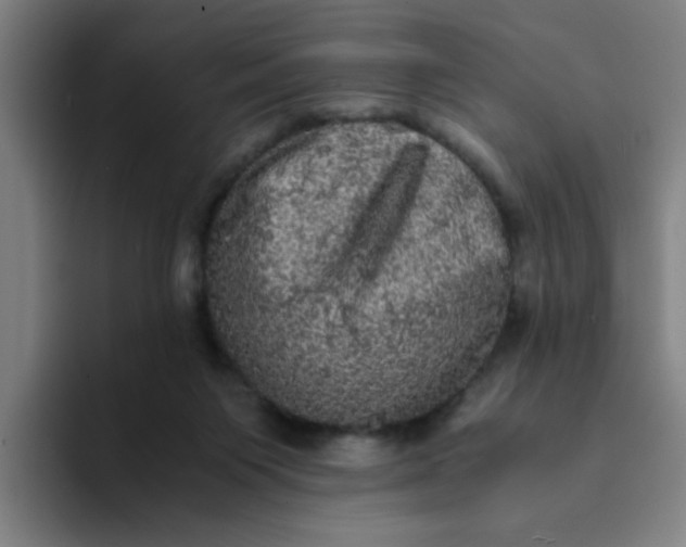 X0000094220119200711161857