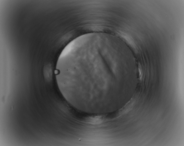 X0000094220120200711161857