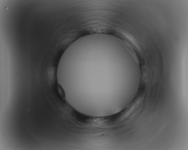 X0000094220121200711161857