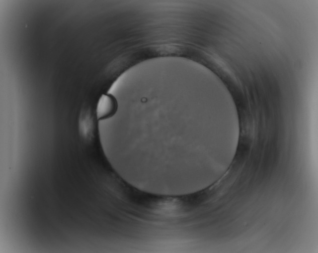 X0000094220124200711161857