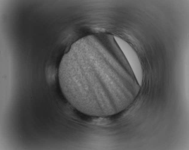 X0000094220125200711161857