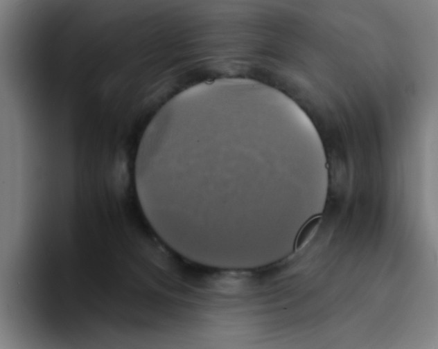 X0000094220128200711161857