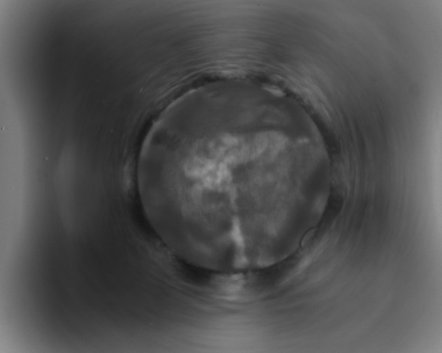 X0000094220131200711161857