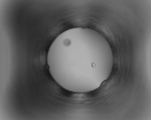 X0000094220133200711161857