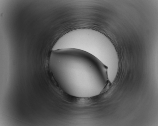 X0000094220141200711161857