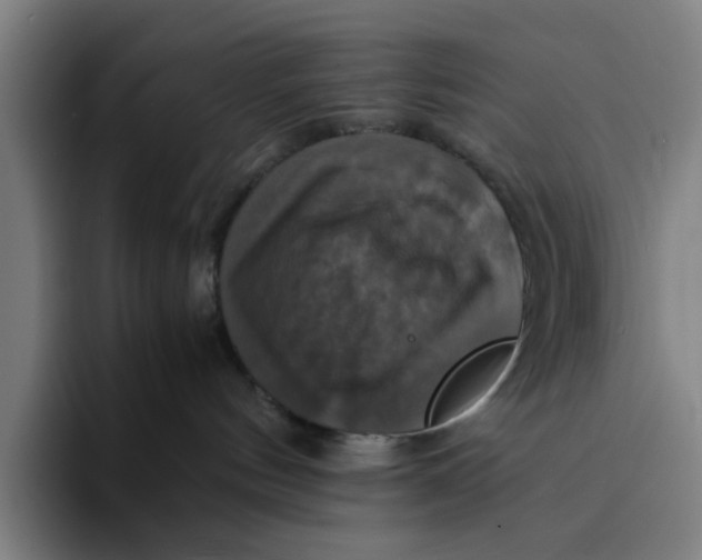 X0000094220144200711161857