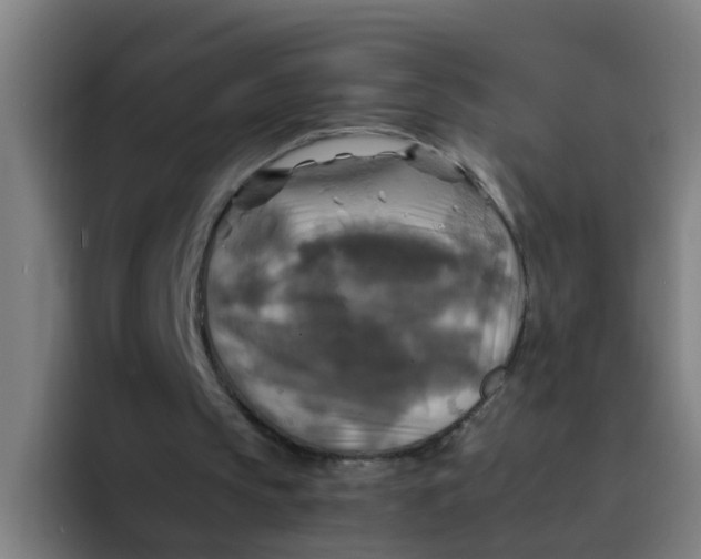 X0000094220145200711161856