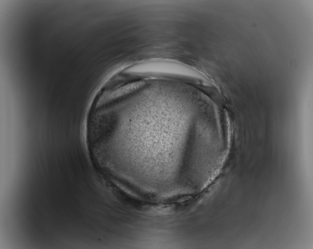 X0000094220148200711161856