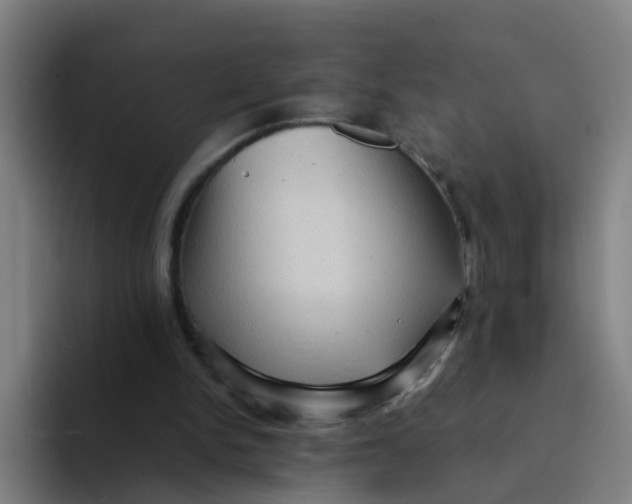 X0000094220150200711161856