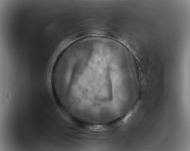 X0000094220151200711161856