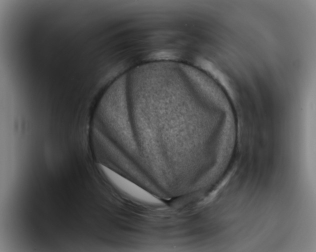 X0000094220153200711161856