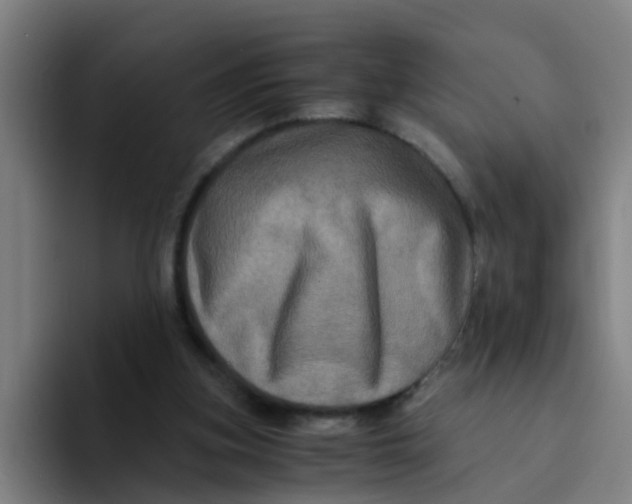 X0000094220155200711161856