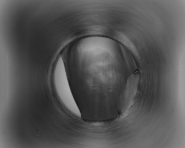 X0000094220156200711161856