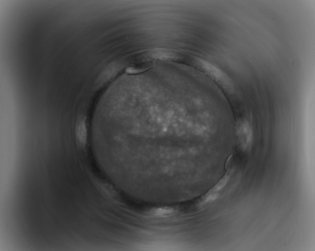 X0000094220158200711161856