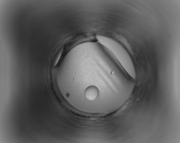 X0000094220162200711161856