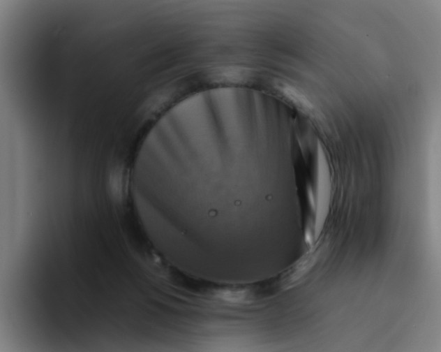 X0000094220168200711161856