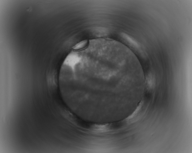 X0000094220170200711161856